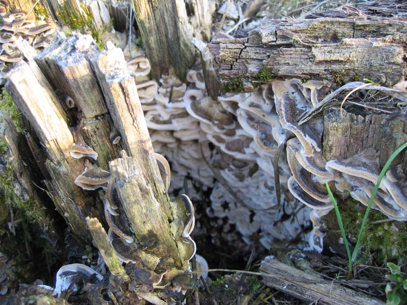 Escursione del  sabato pomeriggio